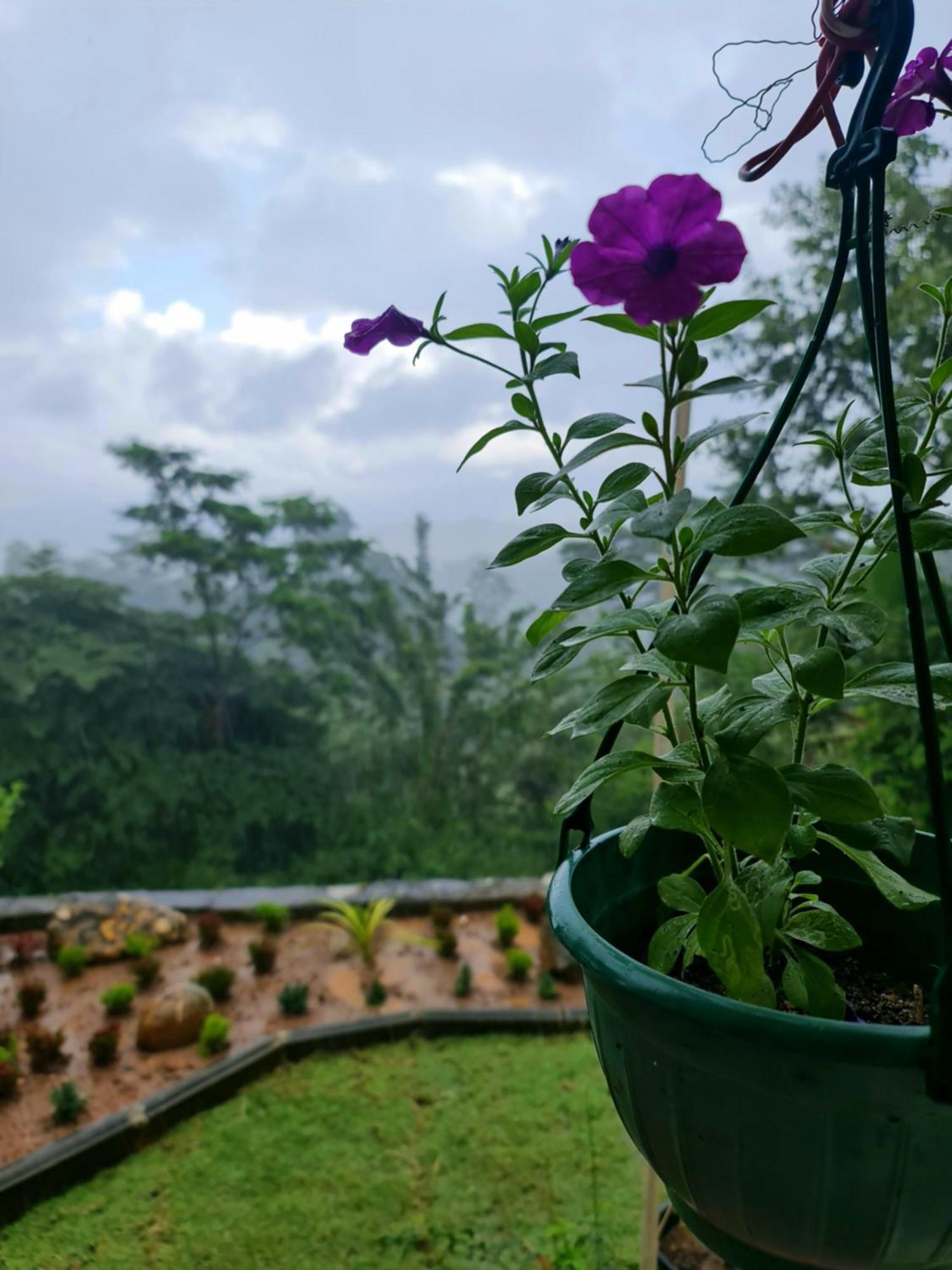 Hello Kandy Homestay Esterno foto