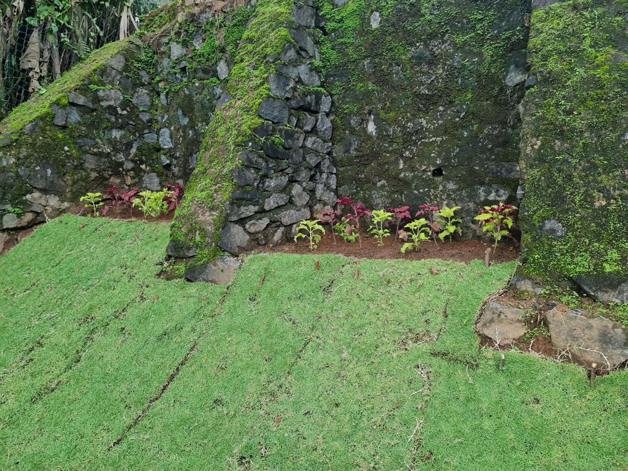 Hello Kandy Homestay Esterno foto